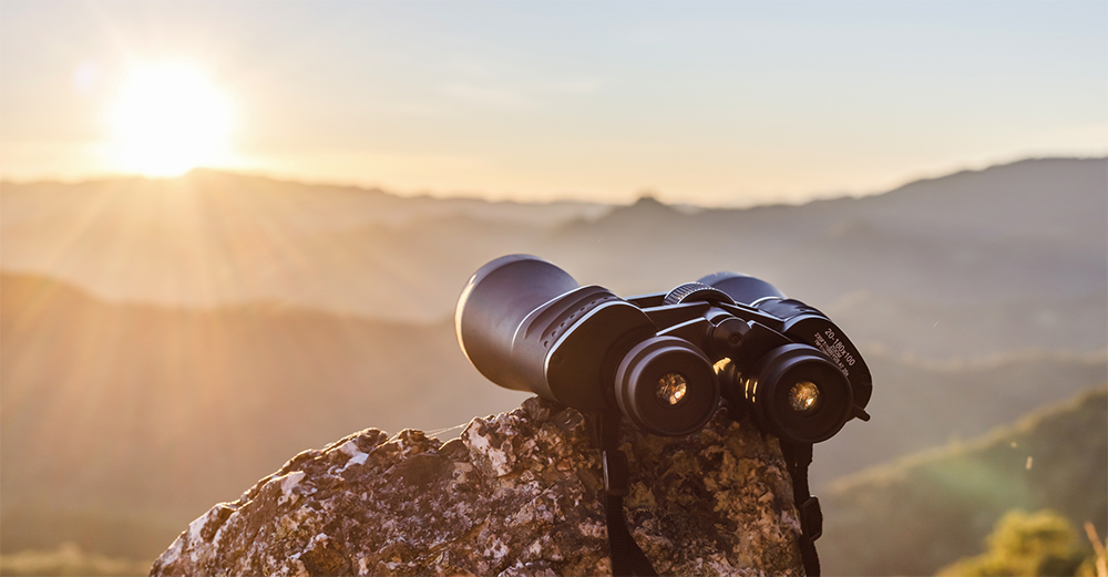 Where Have All the Dividends Gone?