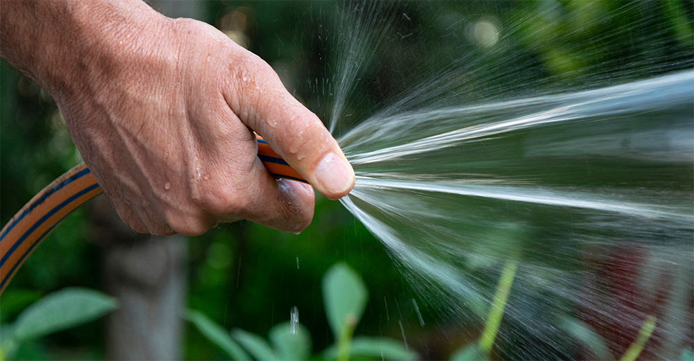 Valuation in an Age of Disruption